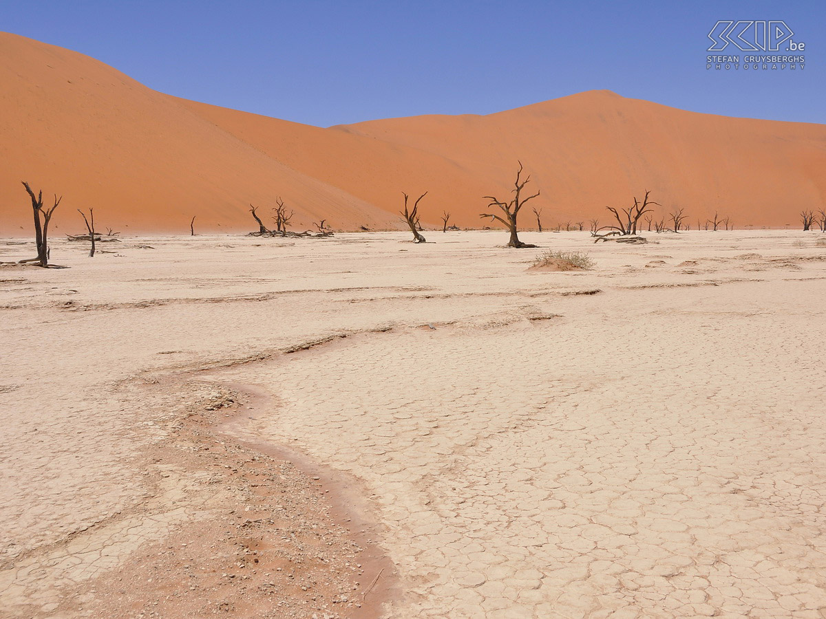 Namib - Dead Vlei Dead Vlei is een witte pan met versteende acacia bomen dat omringd is door de hoogste zandduinen ter wereld (300-400 meters). Stefan Cruysberghs